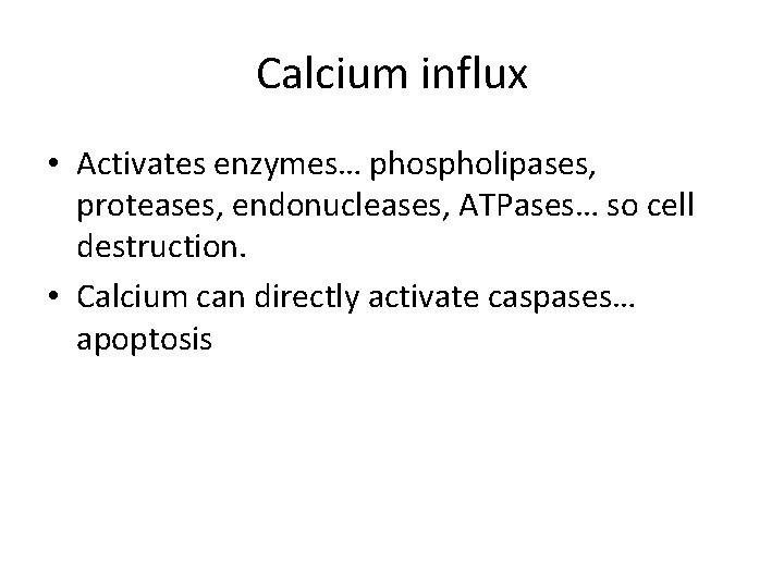 Calcium influx • Activates enzymes… phospholipases, proteases, endonucleases, ATPases… so cell destruction. • Calcium