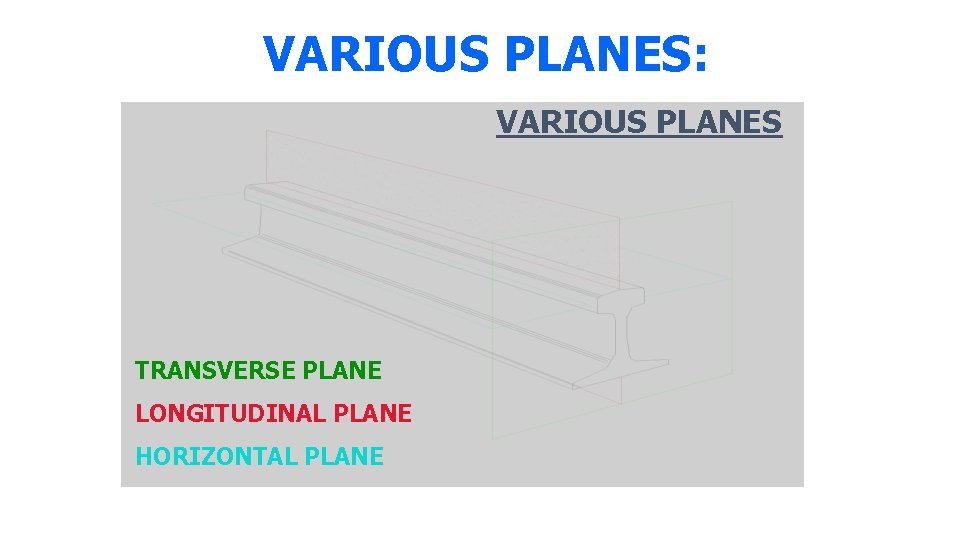 VARIOUS PLANES: VARIOUS PLANES TRANSVERSE PLANE LONGITUDINAL PLANE HORIZONTAL PLANE 