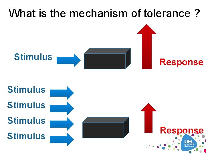 What is the mechanism of tolerance ? Stimulus Response Stimulus Response 