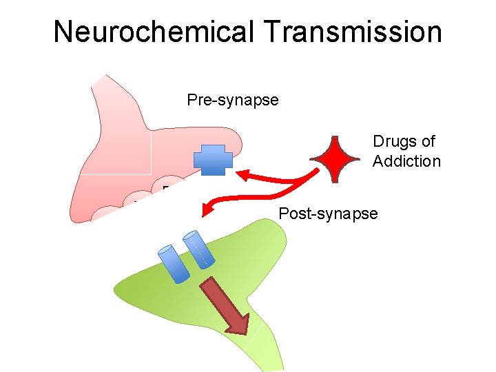 Neurochemical Transmission Pre-synapse Drugs of Addiction DA DA DA Post-synapse 
