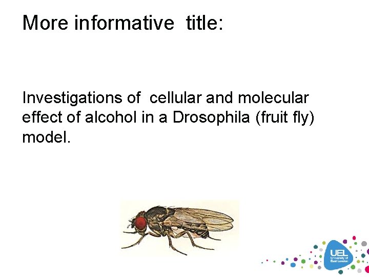 More informative title: Investigations of cellular and molecular effect of alcohol in a Drosophila