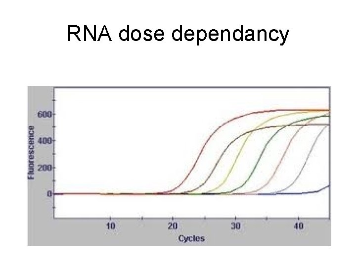 RNA dose dependancy 