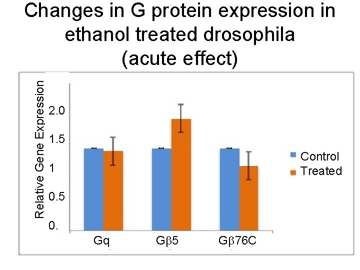 Relative Gene Expression Changes in G protein expression in ethanol treated drosophila (acute effect)