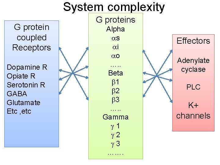 System complexity G protein coupled Receptors Dopamine R Opiate R Serotonin R GABA Glutamate