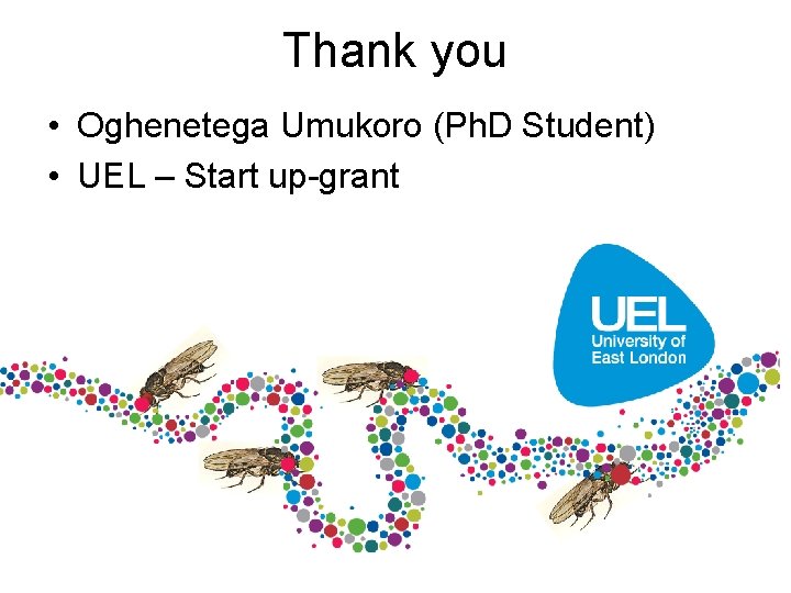 Thank you • Oghenetega Umukoro (Ph. D Student) • UEL – Start up-grant 