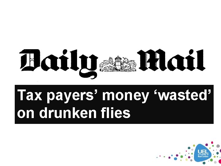 Tax payers’ money ‘wasted’ on drunken flies 