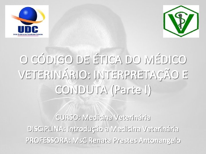 O CÓDIGO DE ÉTICA DO MÉDICO VETERINÁRIO: INTERPRETAÇÃO E CONDUTA (Parte I) CURSO: Medicina