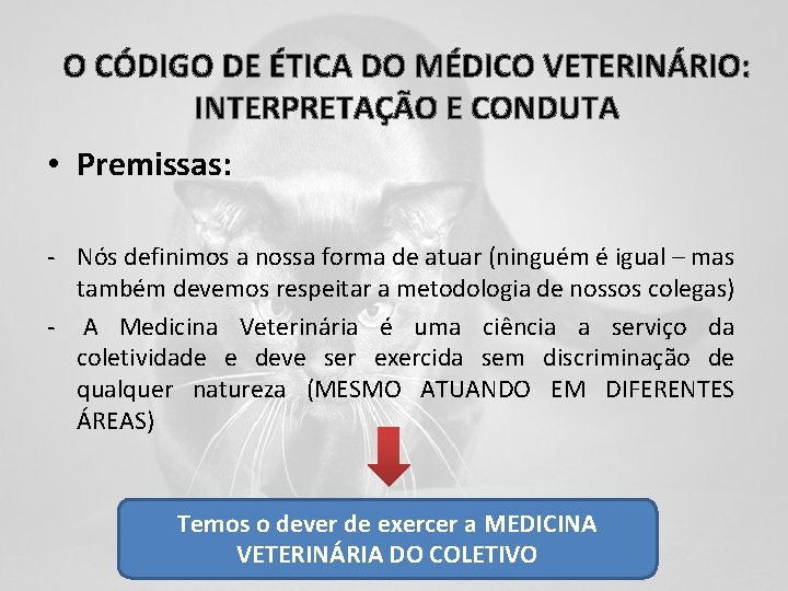 O CÓDIGO DE ÉTICA DO MÉDICO VETERINÁRIO: INTERPRETAÇÃO E CONDUTA • Premissas: - Nós