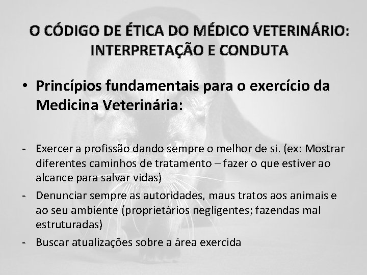 O CÓDIGO DE ÉTICA DO MÉDICO VETERINÁRIO: INTERPRETAÇÃO E CONDUTA • Princípios fundamentais para