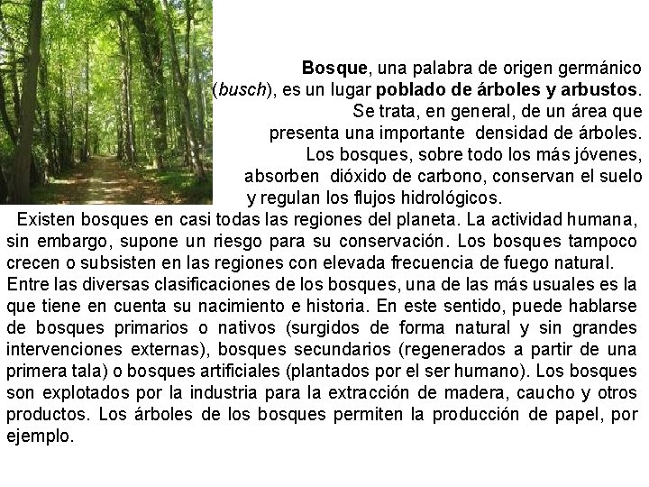 Bosque, una palabra de origen germánico (busch), es un lugar poblado de árboles y