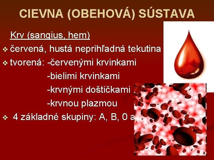 CIEVNA (OBEHOVÁ) SÚSTAVA Krv (sangius, hem) v červená, hustá neprihľadná tekutina v tvorená: -červenými