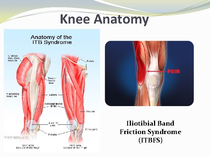 Knee Anatomy Iliotibial Band Friction Syndrome (ITBFS) 