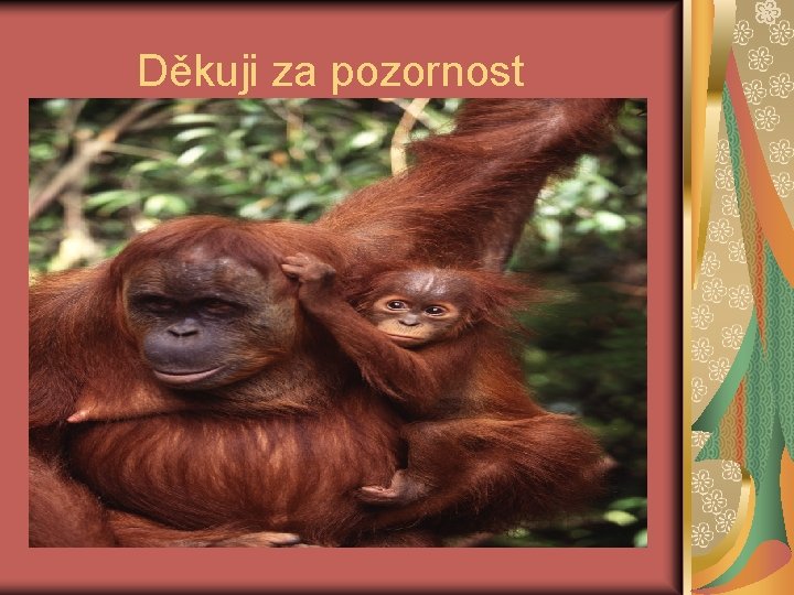  Děkuji za pozornost 