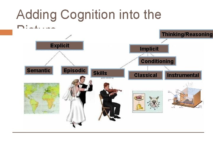 Adding Cognition into the Picture Thinking/Reasoning Habituation Explicit Implicit Conditioning Semantic Episodic Skills Classical