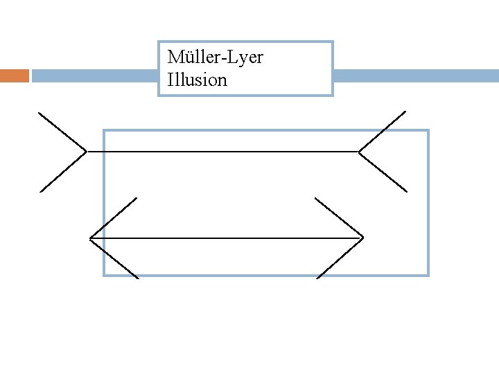 Müller-Lyer Illusion 