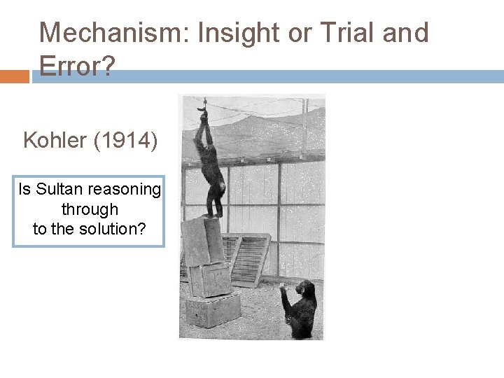 Mechanism: Insight or Trial and Error? Kohler (1914) Is Sultan reasoning through to the