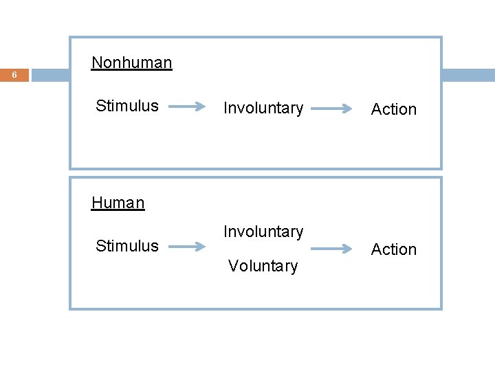 6 Nonhuman Stimulus Involuntary Action Human Stimulus Involuntary Voluntary Action 