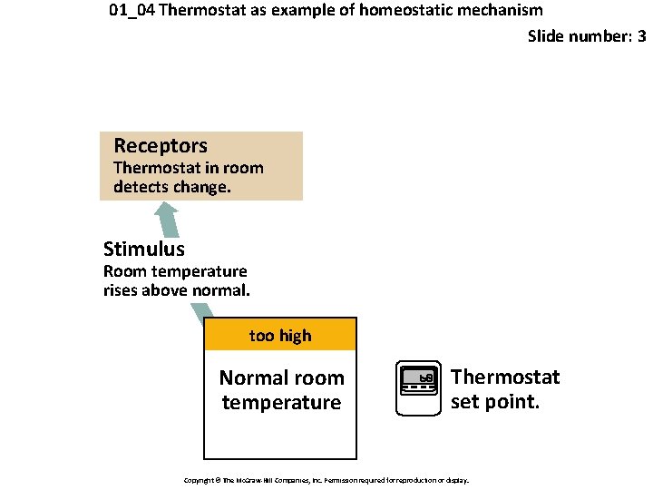 01_04 Thermostat as example of homeostatic mechanism Slide number: 3 Receptors Thermostat in room