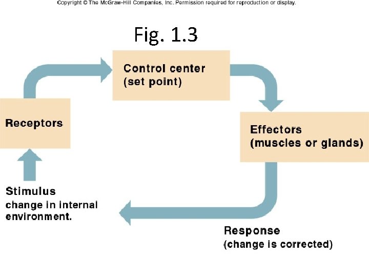 Fig. 1. 3 