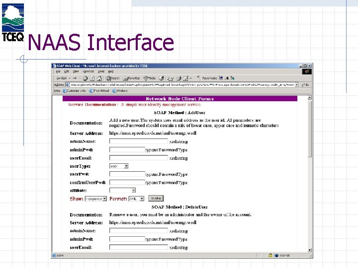 NAAS Interface 