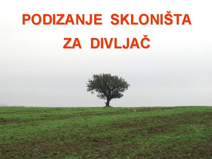 PODIZANJE SKLONIŠTA ZA DIVLJAČ PODIZANJE SKLONIŠTA ZA DIVLJAČ