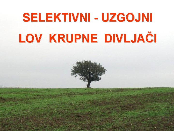 SELEKTIVNI - UZGOJNI LOV KRUPNE DIVLJAČI SELEKTIVNI - UZGOJNI LOV KRUPNE DIVLJAČI