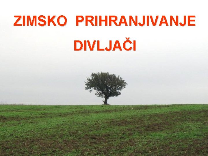 ZIMSKO PRIHRANJIVANJE DIVLJAČI ZIMSKO PRIHRANJIVANJE DIVLJAČI