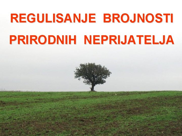 REGULISANJE BROJNOSTI PRIRODNIH NEPRIJATELJA REGULISANJE BROJNOSTI PRIRODNIH NEPRIJATELJA