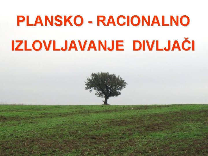 PLANSKO - RACIONALNO IZLOVLJAVANJE DIVLJAČI 