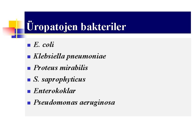 Üropatojen bakteriler n n n E. coli Klebsiella pneumoniae Proteus mirabilis S. saprophyticus Enterokoklar