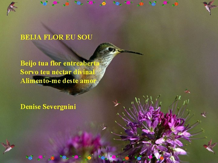 BEIJA FLOR EU SOU Beijo tua flor entreaberta Sorvo teu néctar divinal Alimento-me deste