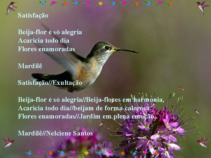 Satisfação Beija-flor é só alegria Acaricia todo dia Flores enamoradas Mardilê Satisfação//Exultação Beija-flor é