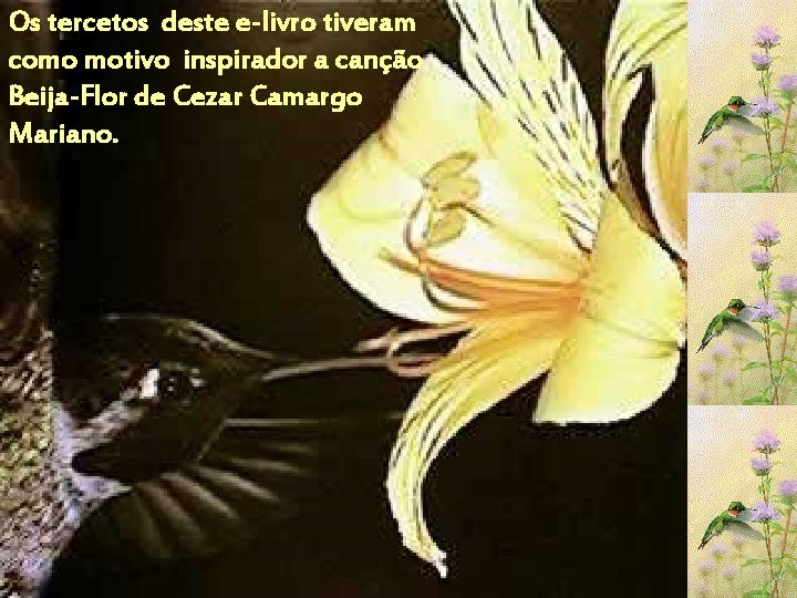 Os tercetos deste e-livro tiveram como motivo inspirador a canção Beija-Flor de Cezar Camargo