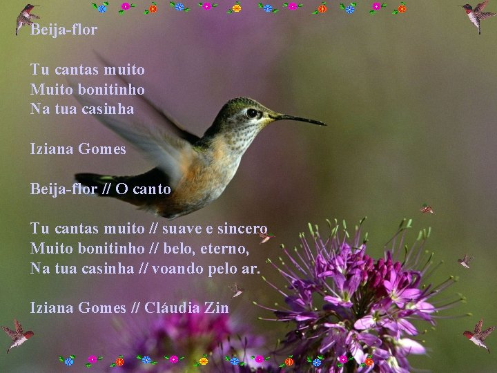 Beija-flor Tu cantas muito Muito bonitinho Na tua casinha Iziana Gomes Beija-flor // O