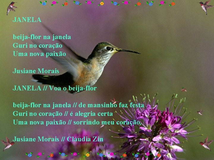 JANELA beija-flor na janela Guri no coração Uma nova paixão Jusiane Morais JANELA //