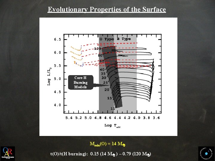 Evolutionary Properties of the Surface Core H Burning Models Mmin(O) = 14 M t(O)/t(H