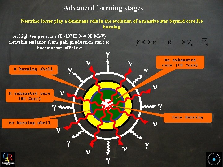 Advanced burning stages Neutrino losses play a dominant role in the evolution of a
