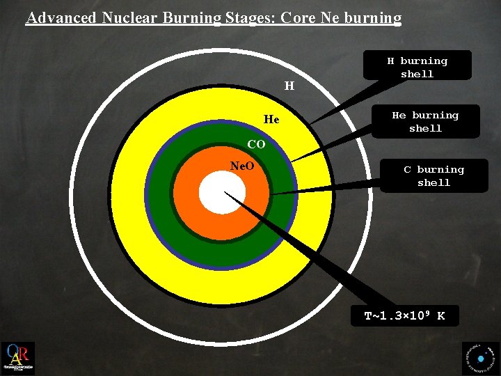 Advanced Nuclear Burning Stages: Core Ne burning H He H burning shell He burning