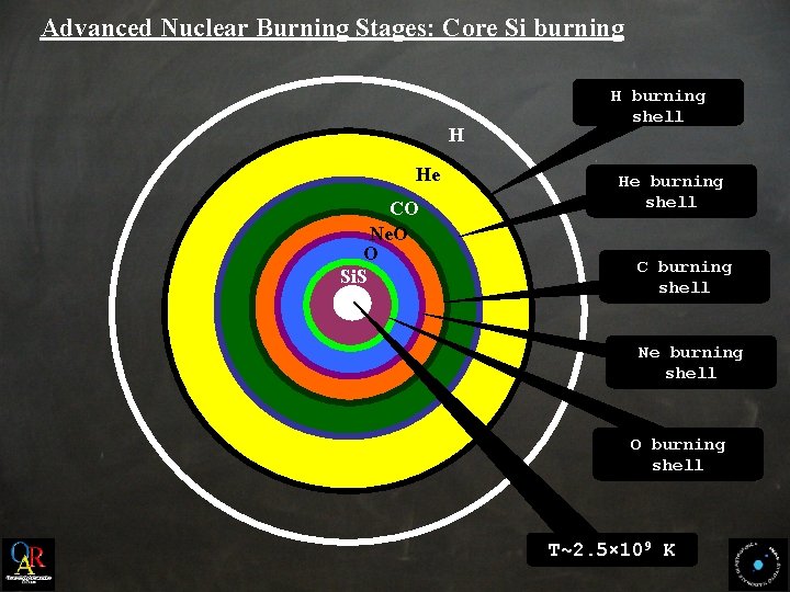 Advanced Nuclear Burning Stages: Core Si burning H He CO Ne. O O Si.