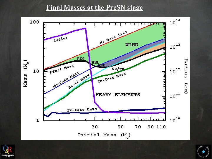 Final Masses at the Pre. SN stage oss L ass M No us Radi