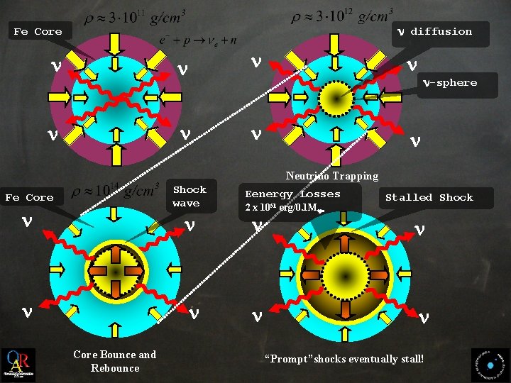 n diffusion Fe Core n n n n-sphere n Neutrino Trapping Shock wave Fe