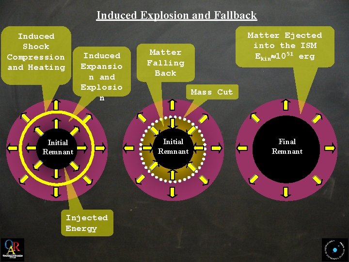 Induced Explosion and Fallback Induced Shock Compression and Heating Induced Expansio n and Explosio
