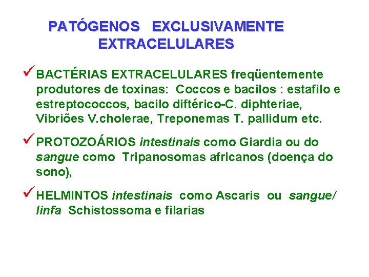 PATÓGENOS EXCLUSIVAMENTE EXTRACELULARES üBACTÉRIAS EXTRACELULARES freqüentemente produtores de toxinas: Coccos e bacilos : estafilo