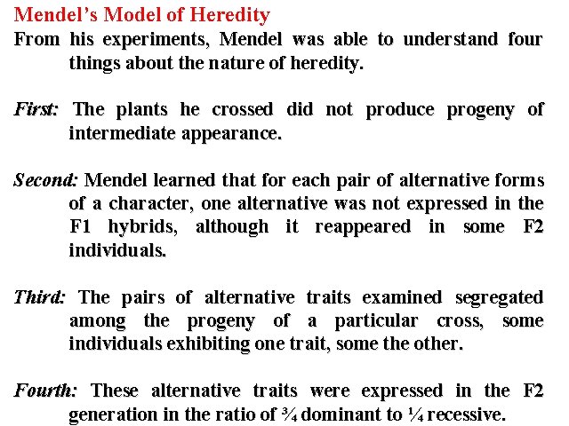 Mendel’s Model of Heredity From his experiments, Mendel was able to understand four things