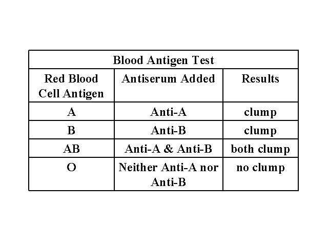 Red Blood Cell Antigen A B AB O Blood Antigen Test Antiserum Added Anti-A