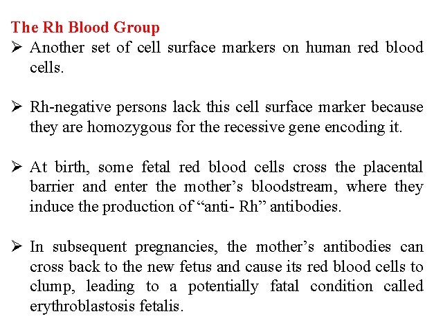 The Rh Blood Group Ø Another set of cell surface markers on human red