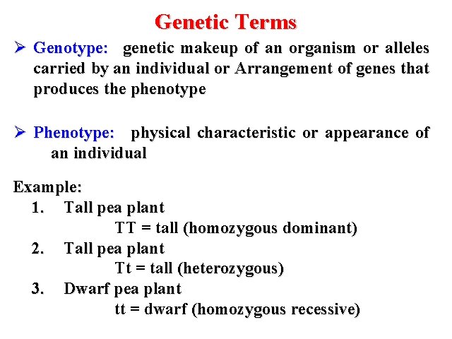 Genetic Terms Ø Genotype: genetic makeup of an organism or alleles carried by an