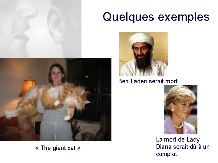 Quelques exemples Ben Laden serait mort « The giant cat » La mort de