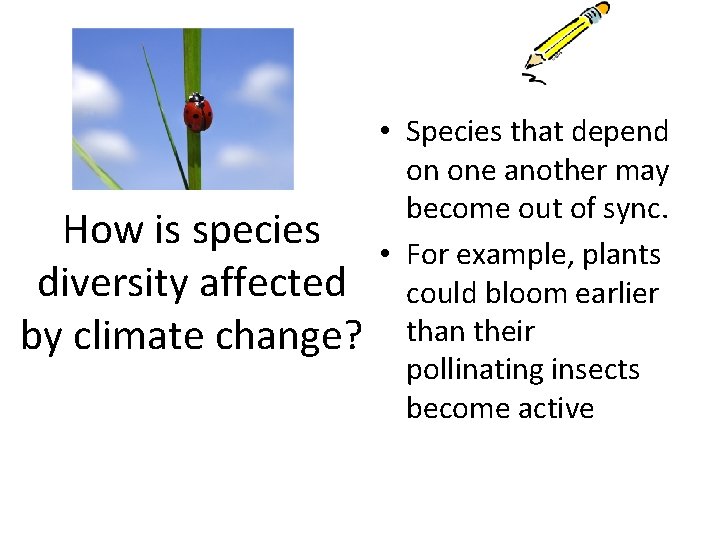 How is species diversity affected by climate change? • Species that depend on one