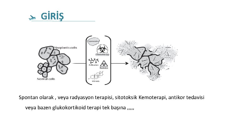 GİRİŞ Spontan olarak , veya radyasyon terapisi, sitotoksik Kemoterapi, antikor tedavisi veya bazen glukokortikoid GİRİŞ Spontan olarak , veya radyasyon terapisi, sitotoksik Kemoterapi, antikor tedavisi veya bazen glukokortikoid